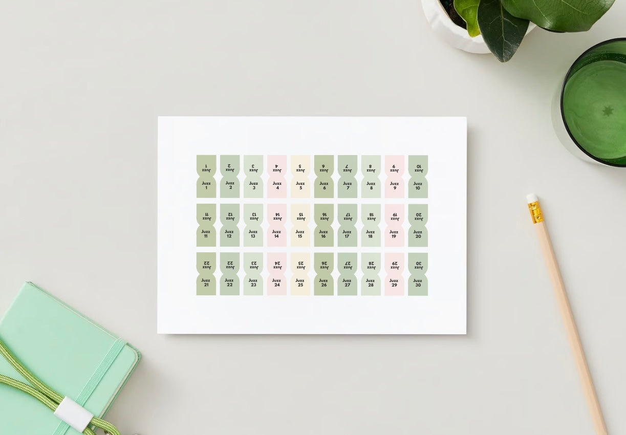 Onglets Juzz rigides plastifiés - Vert