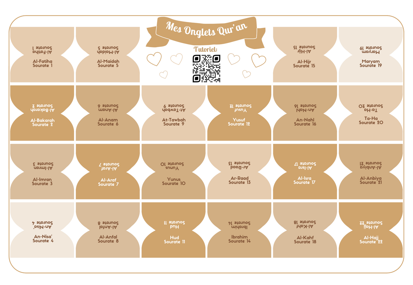 Onglets sourates rigides plastifiés - Beige Gold