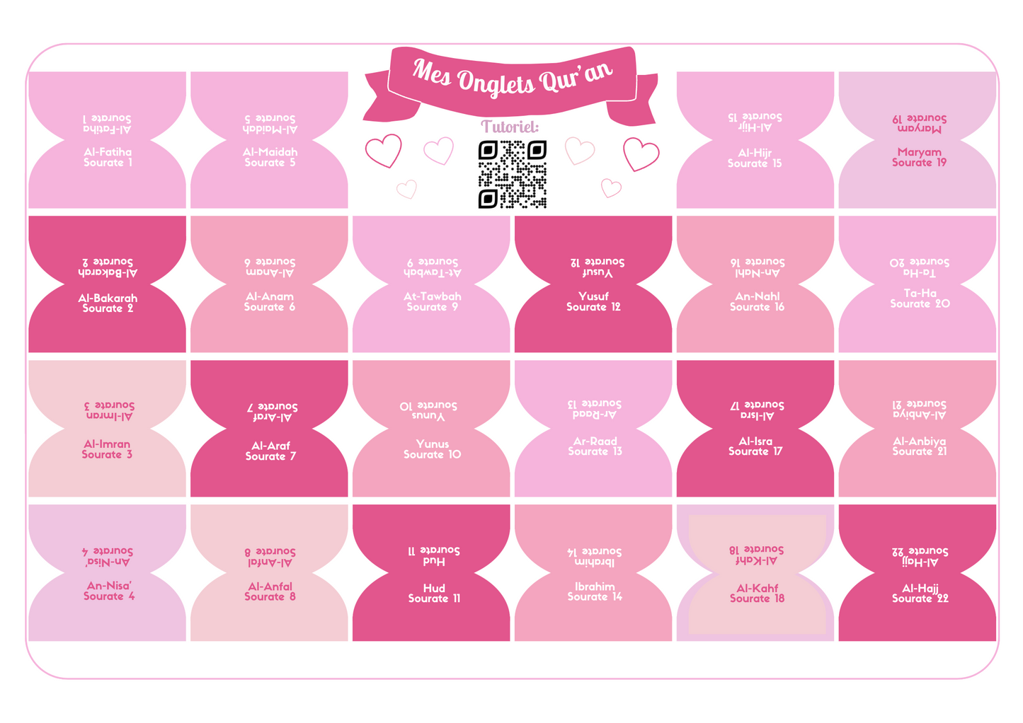 Onglets sourates rigides plastifiés - Rosy