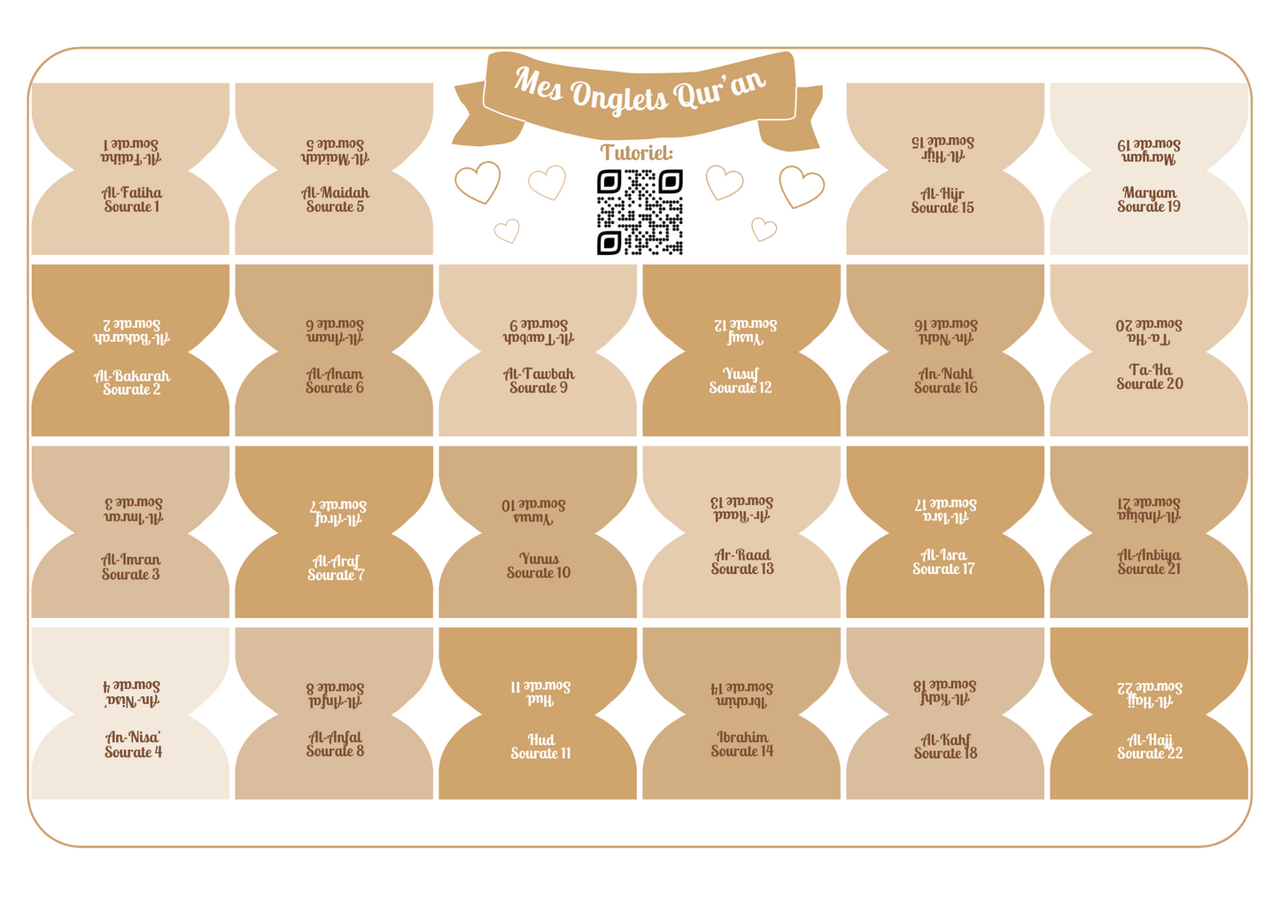 Onglets sourates rigides plastifiés - Beige Gold