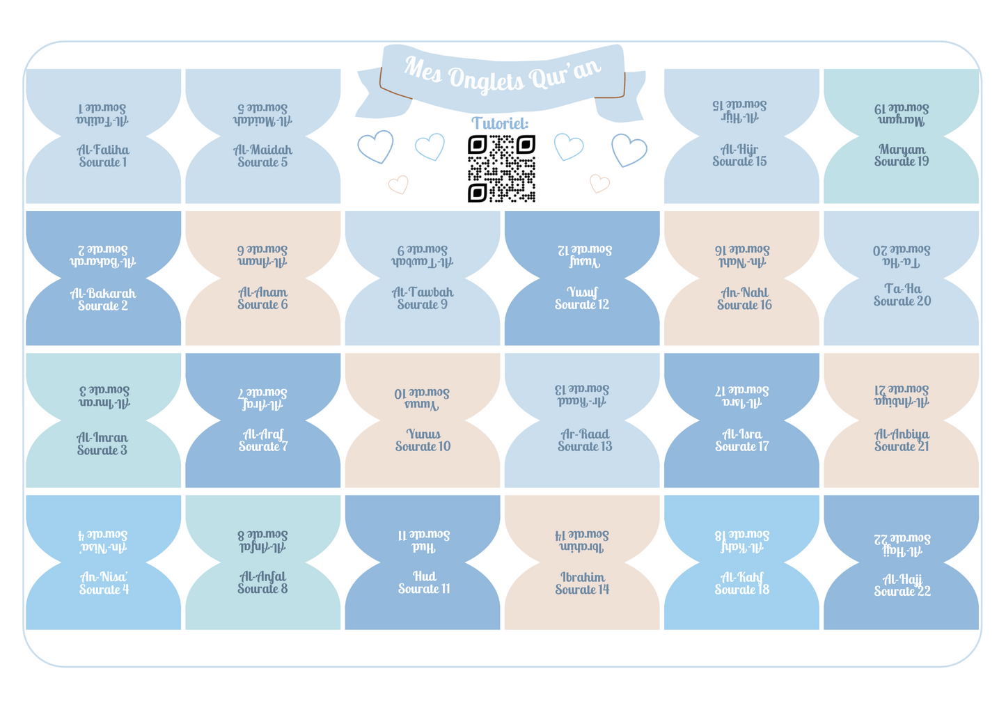 Onglets sourates rigides plastifiés - Bleu