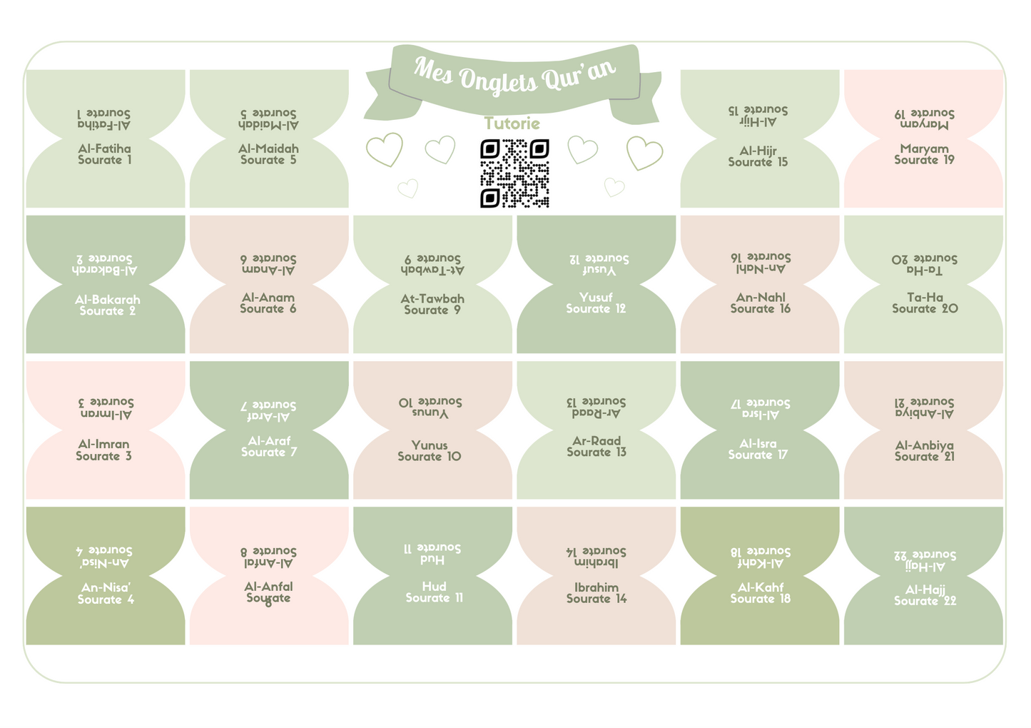 Onglets sourates rigides plastifiés - Matcha 🍵