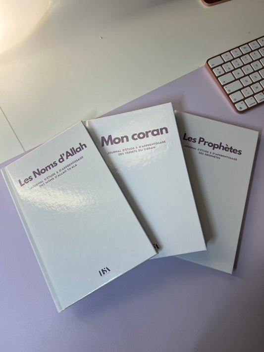 Les 3 journaux d’étude - Stickers et surligneur en cadeau