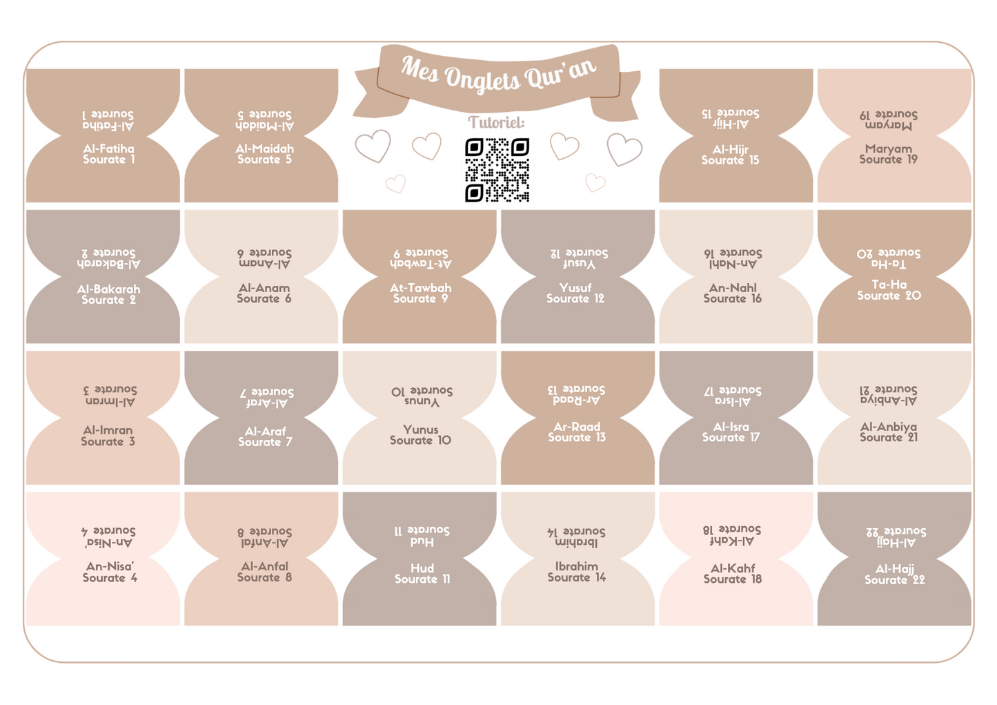 Onglets sourates rigides plasifiés - Beige/Taupe