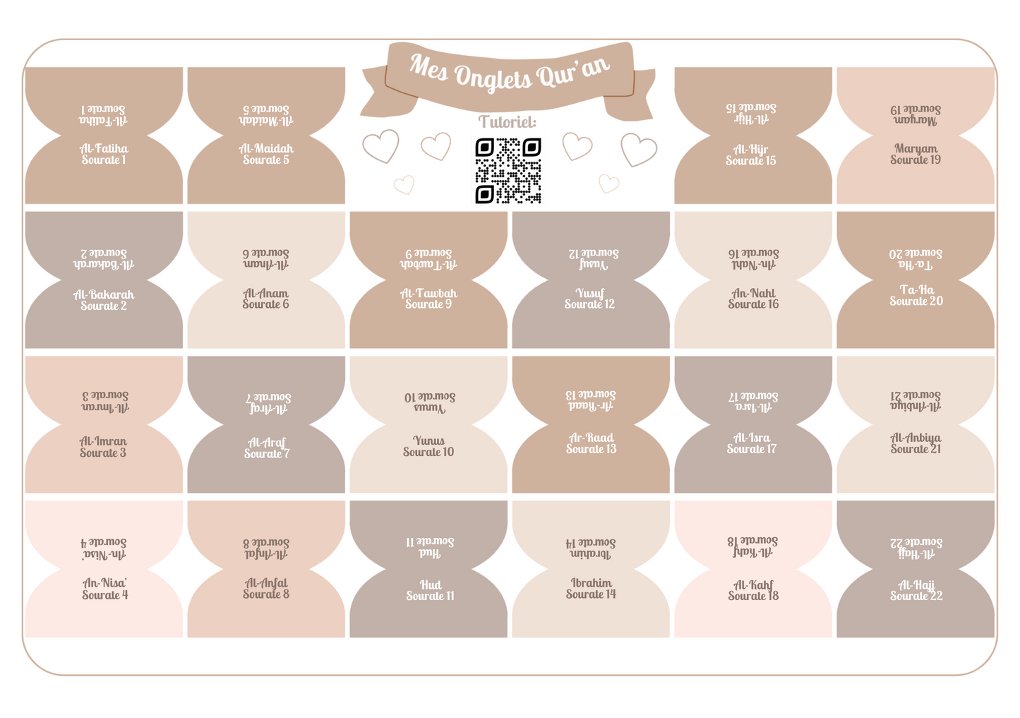 Onglets sourates rigides plasifiés - Beige/Taupe