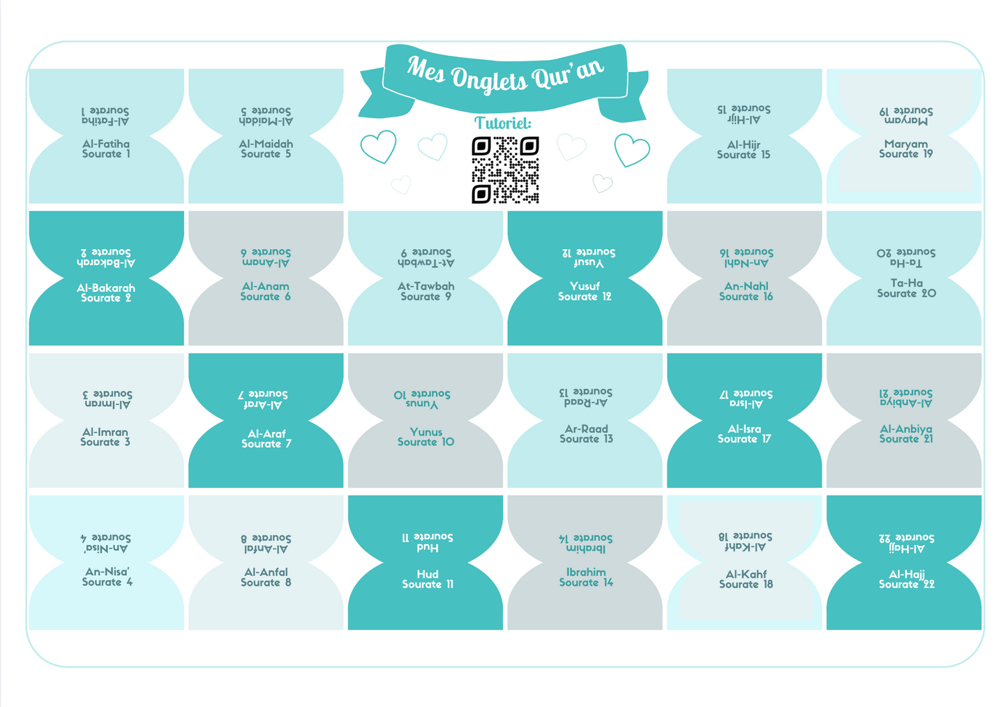 Onglets sourates rigides plastifiés - Azur