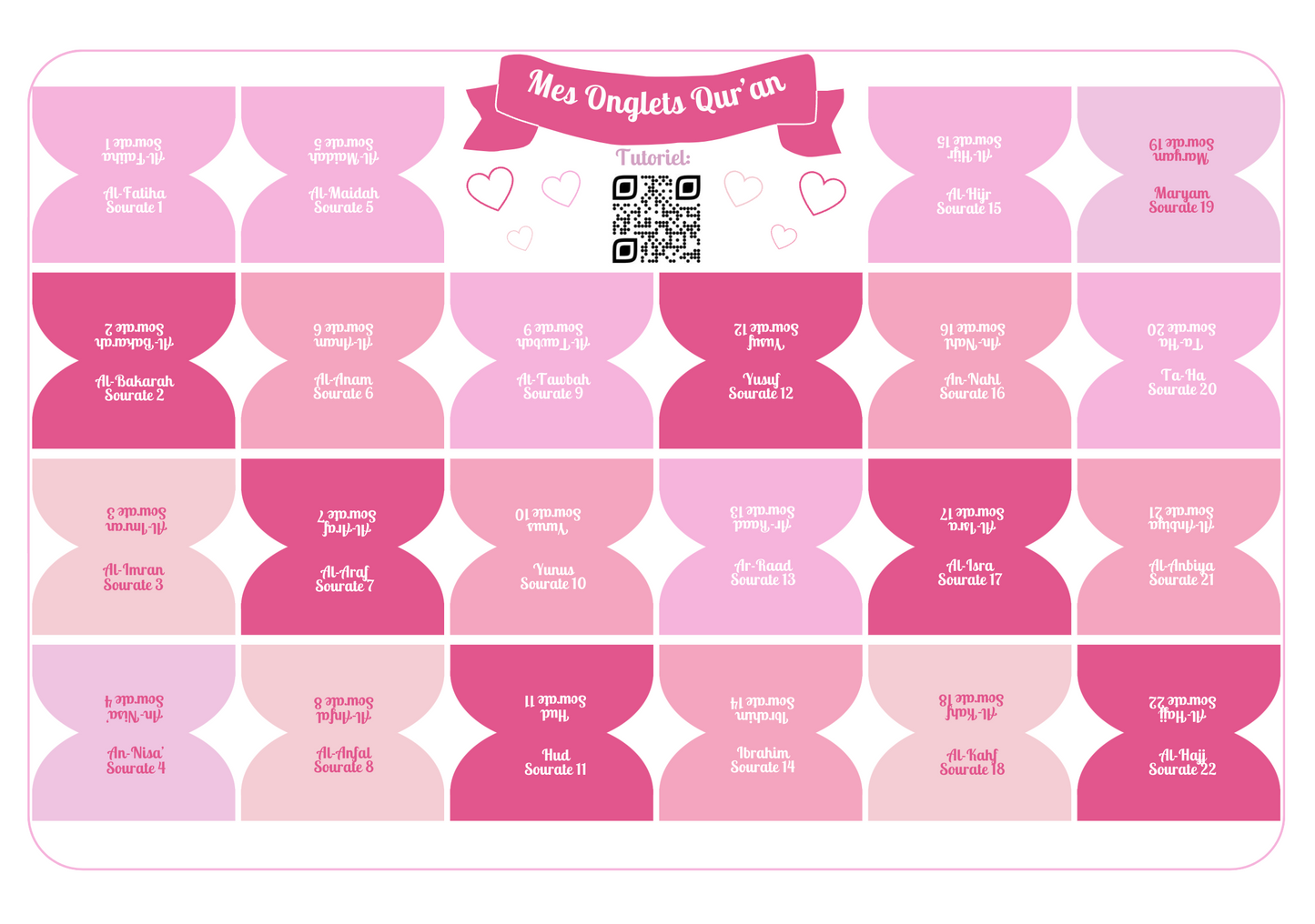 Onglets sourates rigides plastifiés - Rosy