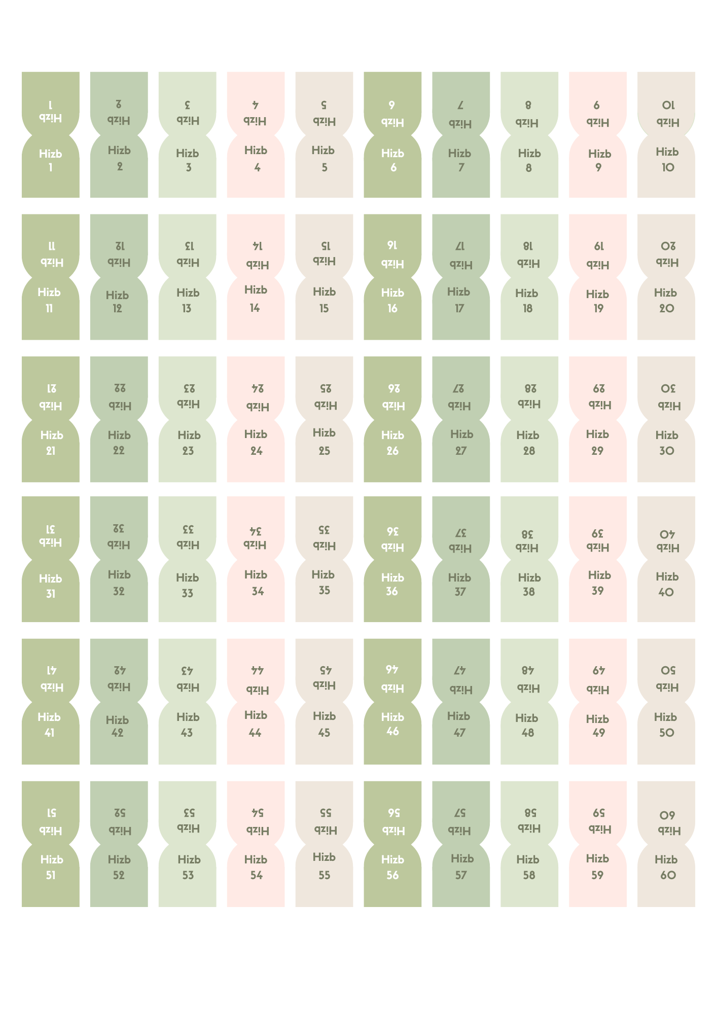 Onglets hizb rigides plastifiés - Matcha