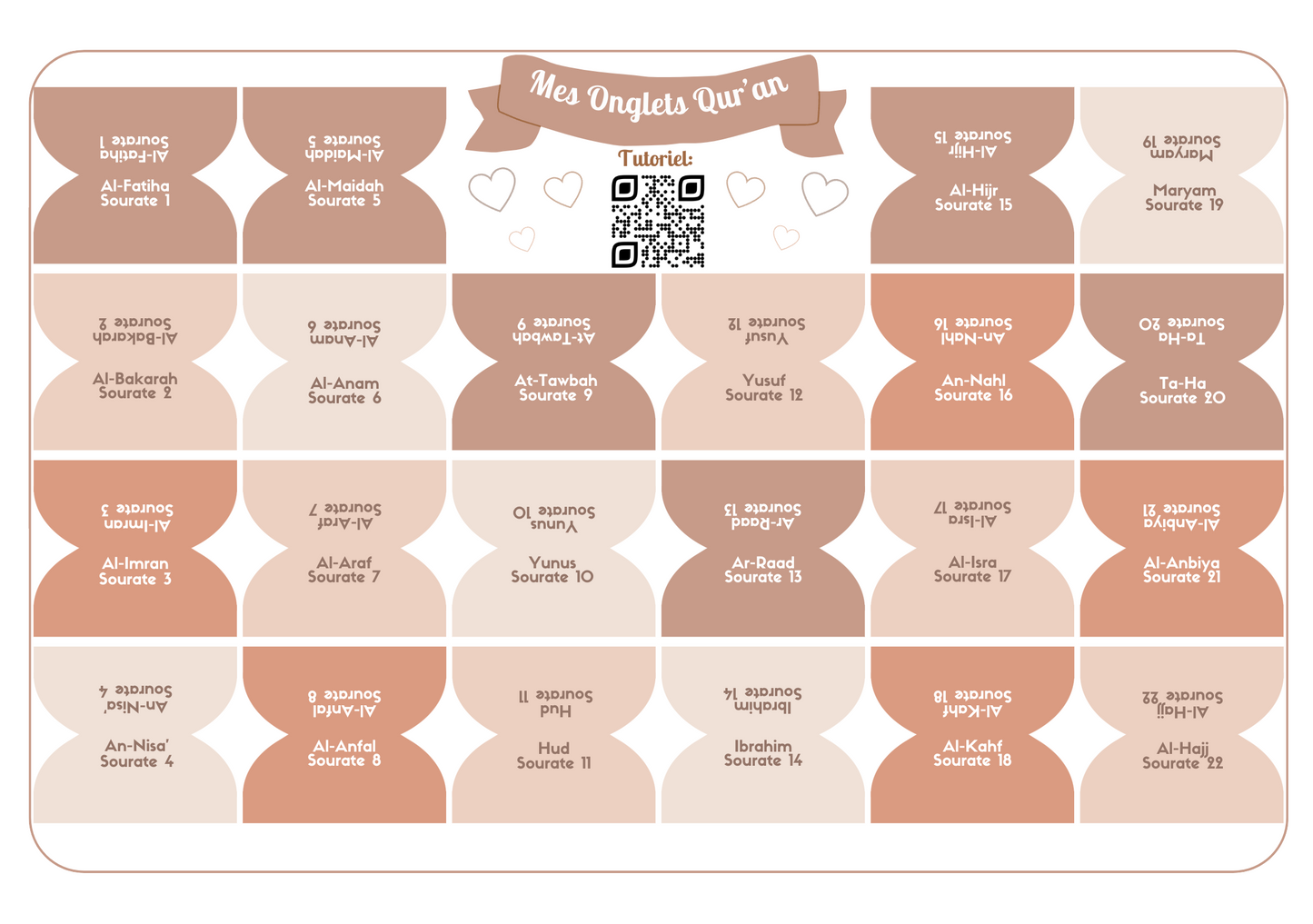 Onglets sourates rigides plastifiés - Noisette