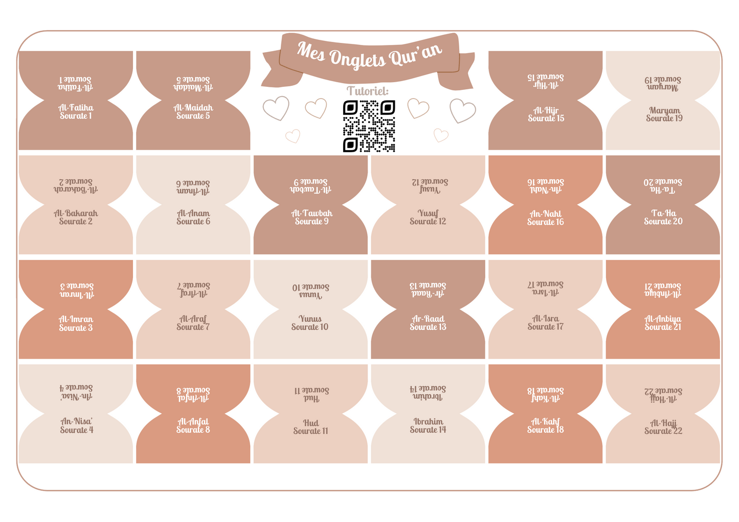 Onglets sourates rigides plastifiés - Noisette