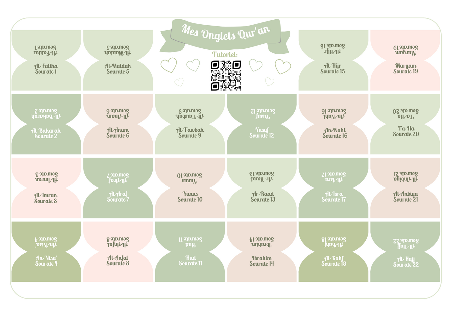 Onglets sourates rigides plastifiés - Matcha 🍵