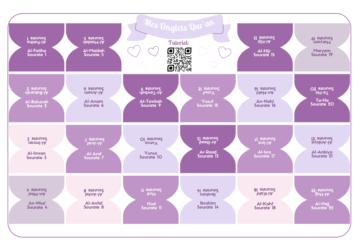 Onglets sourates rigides plastifiés - Violet