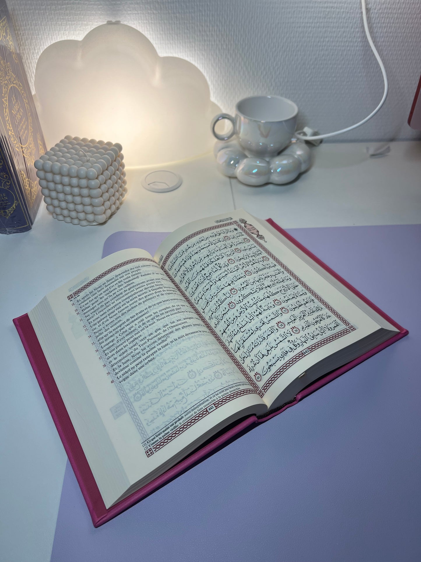Coran arabe/Français - 22x15cm
