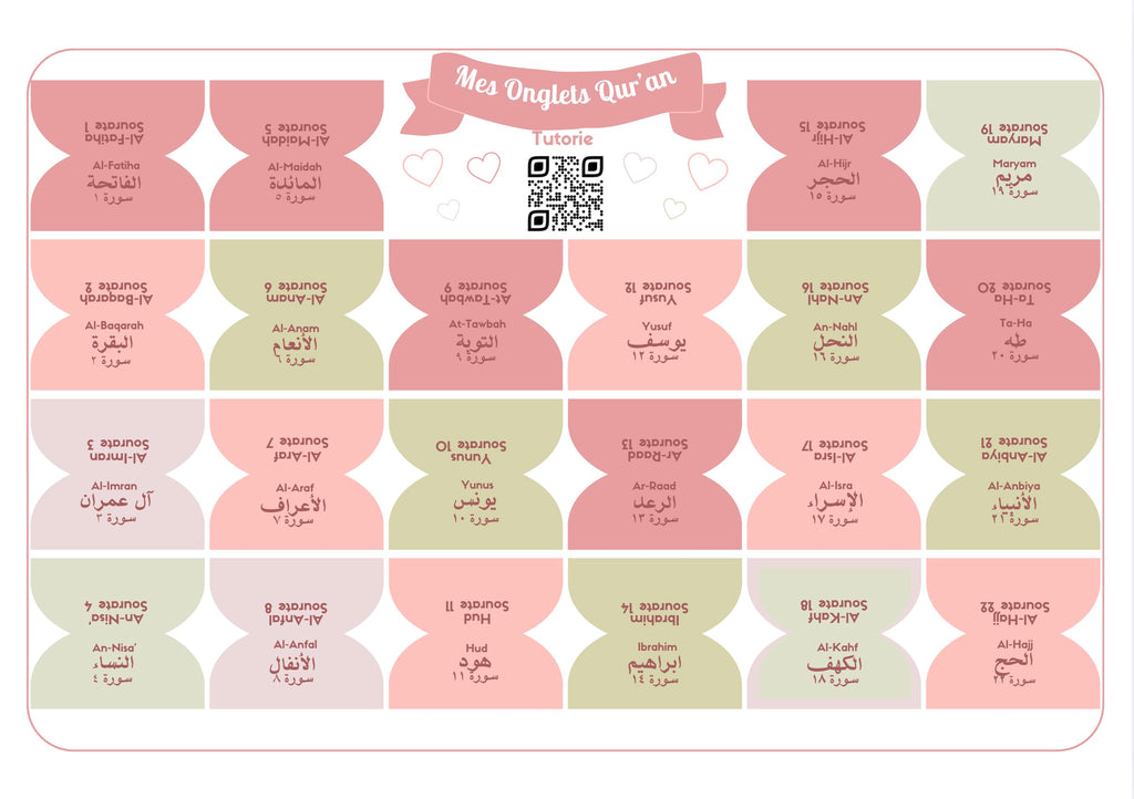 Onglets sourates rigides plastifiés - Matcha/framboise